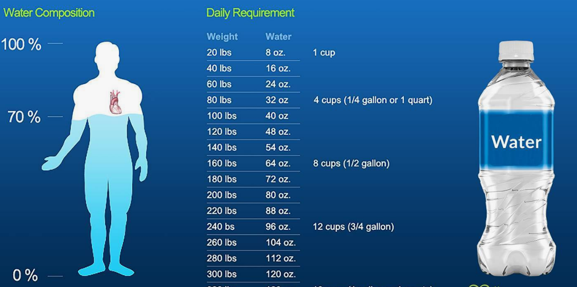 How Much Water to Drink to Lose Weight Calculator