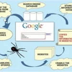 How Do Search Engines Work on the Internet?